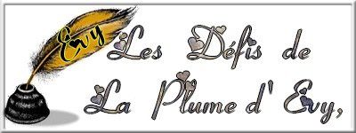 PLUME DE POETE CHEZ EVY- DEFI 131- MOMENT INFINI