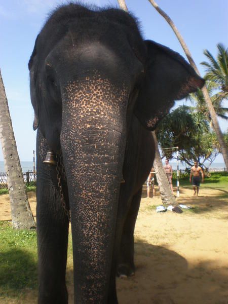 Album - Sri-Lanka