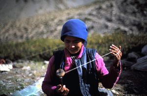 Bergère Ladakhie