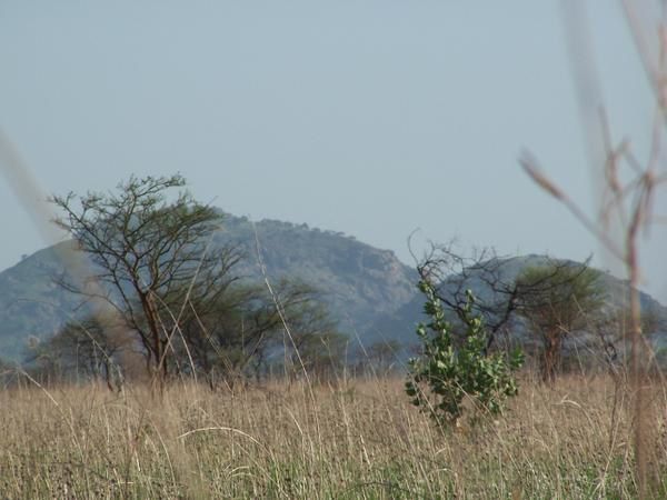 quelques photos de notre voyage de fin d'année (Léré-Ndj)et de juillet (Cameroun)