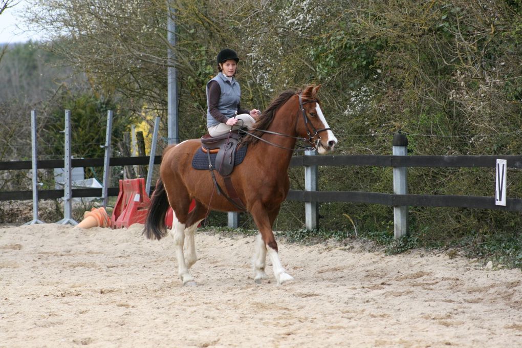 week-end équitation en amazone en touraine 28-29 mars 2009, des amazones  confirmées, une amazone débutante, des amazhoms, des selles d'amazone à foison
la monte en amazone sous toutes ses facettes, cheval, dressage, saut d'obstacle, sidesaddle