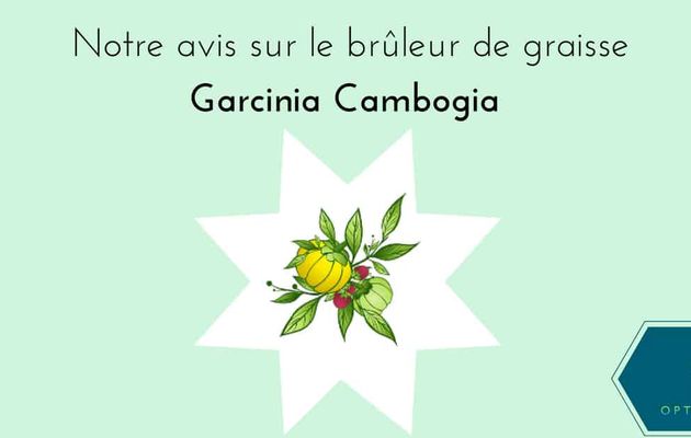 Bruleur de graisse garcinia cambogia