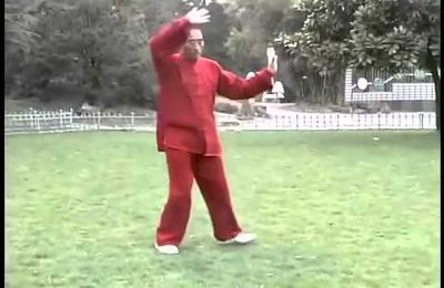 tai chi style Wu Hao