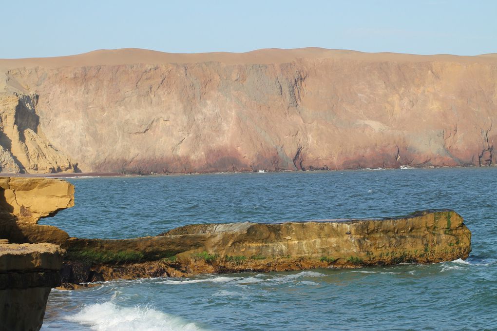 Superbe péninsule de Paracas