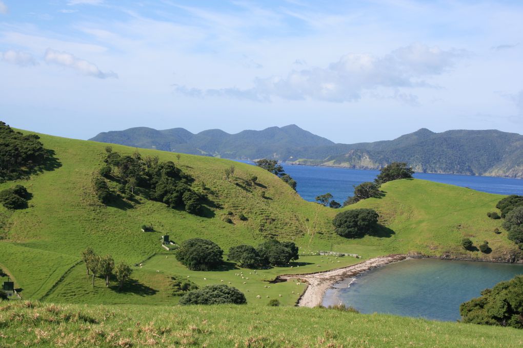 Album - The-Northland