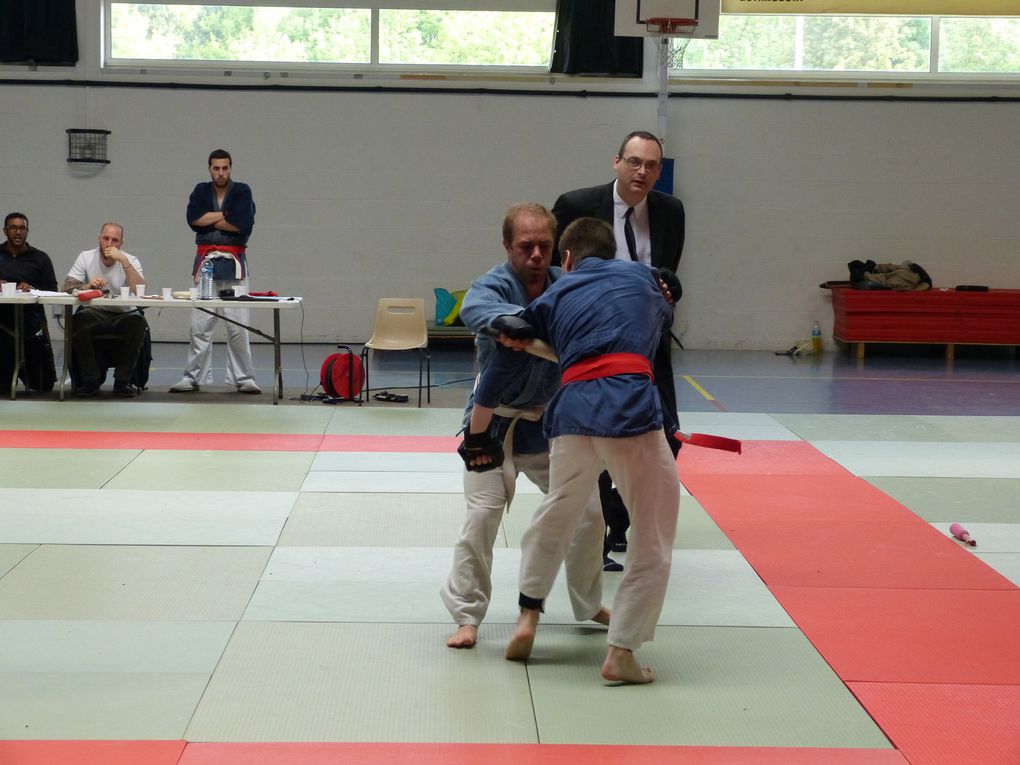 2e partie des photos de la compétition de Nihon Budo du 10 mai 2015 au gymnase des droits de l'Homme à Guyancourt.