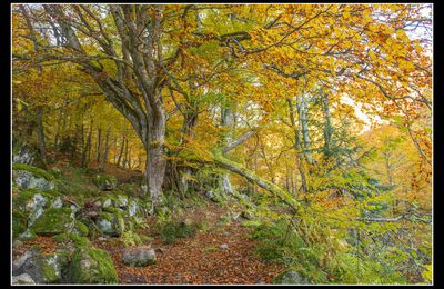 Les Pyrénées ariégeoises à l'automne