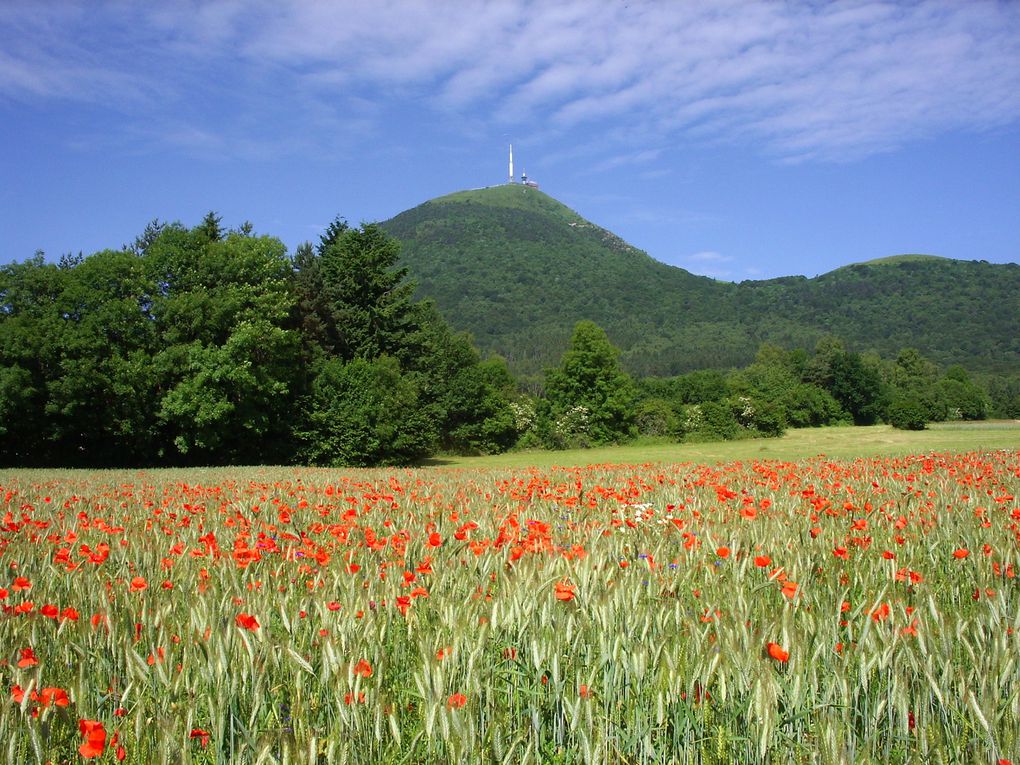 PUY DE DOME le symbole 