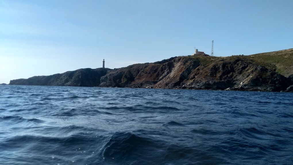 Collioure / le Cap Béar et son phare 