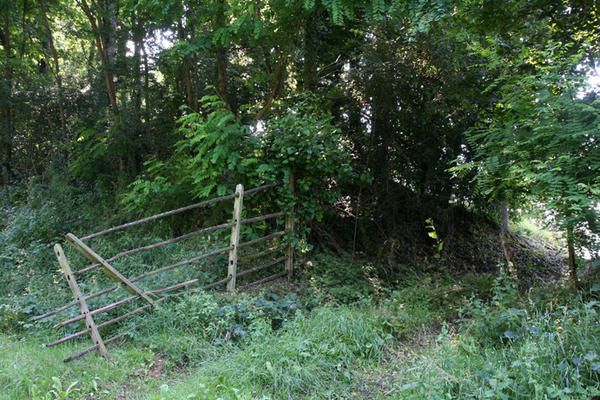 Balade dans la campagne du pays fort que j'aime sillonner et y retrouver un peu de mon enfance.