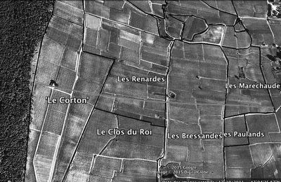 Le Corton:  le seul grand cru ayant plus de 1000 ans?