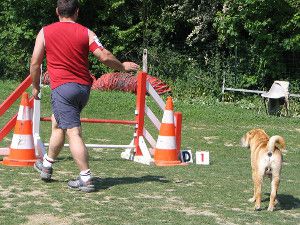 Etre un meilleur maître pour son chien