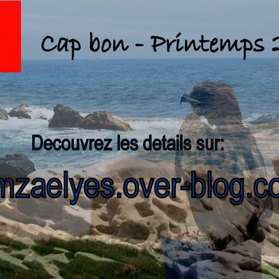 Le Cap bon