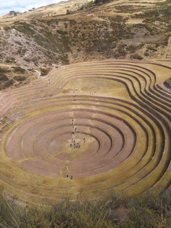 Moray, un des plus vieux laboratoires du monde : cet ensemble de terrasses leur permettaient de tester différents types de cultures selon différentes expositions et à différentes altitudes