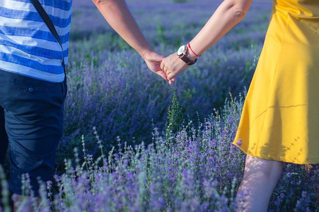 Deux amoureux se tenant la main dans un champ de lavande