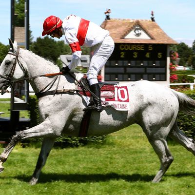 Quinté jeudi à Clairefontaine : Kaldou Euanas sur sa lancée 