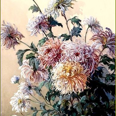 Les fleurs par les grands peintres -  Gustav Feith (1875-1951) chrysanthèmes