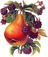 Voir mes deux autres blogs !             http://perc14.over-blog.com...http://lestrucsdegrand-maman.over-blog.com