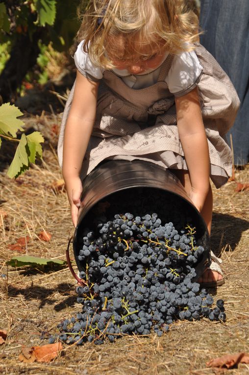 Album - 2012-09-23-Vallee-du-Douro