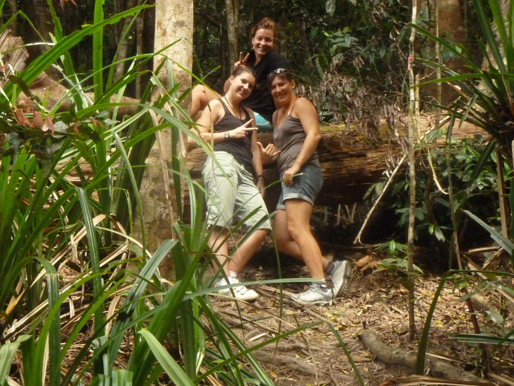 Album - 27- Cairns et environs, Queensland, septembre 2011