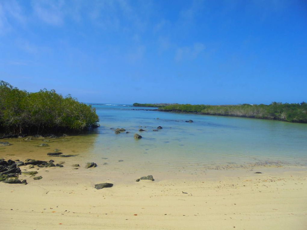 Archipel des Galápagos - un rêve éveillé