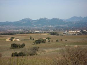 LI     COUDOULIERO    de    CHATEAUNEUF 