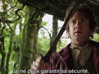 Bande annonce : Bilbo le Hobbit