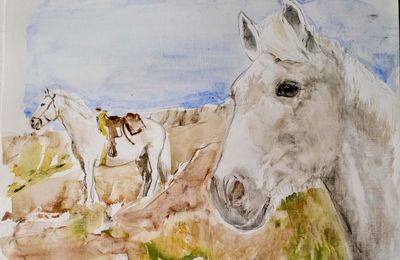 Aquarelle d'un cheval blanc