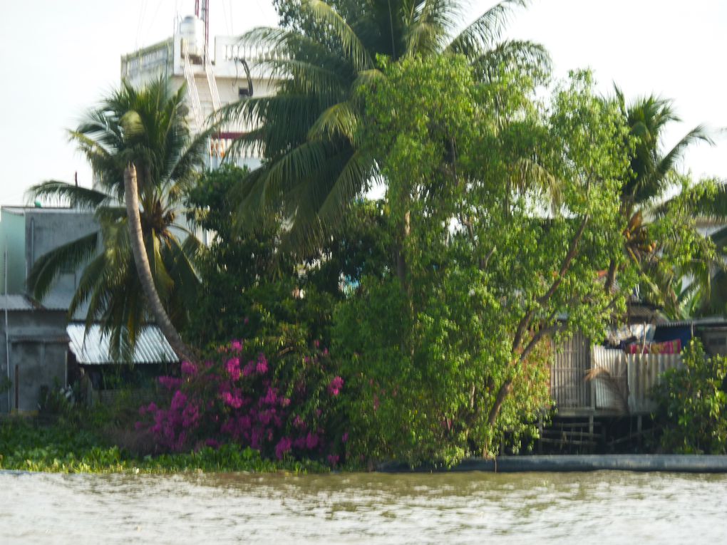 Mekong delta. 
1st day : crossing the delta, to arrive at Can Tho before evening.
2nd day : continuing visit of the delta : floating market of Can Tho, noodle factory, garden, crocodile farm, temple.
3rd day : towards Cambodia via the Mekong delta