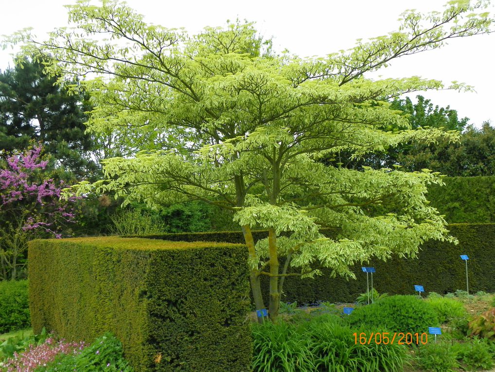 Magnifique jardin que ce parc floral de la colline aux oiseaux, allez-y vous ne serez pas déçus.