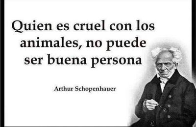 Arthur Schopenhauer - Castellano