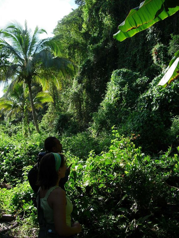 Album - Nouvelle-Caledonie