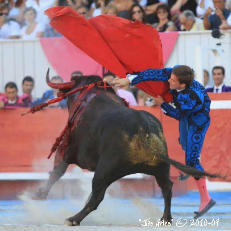 FERIA DU RIZ 2010 à ARLES - Corrida Goyesque du samedi 11 septembre à 17H30 avec 1 Toro de Bohorquez pour Manuel MANZANARES et 6 Toros de Daniel RUIZ pour EL JULI et JUAN BAUTISTA (Sobresaliente Charly EL LOBO)