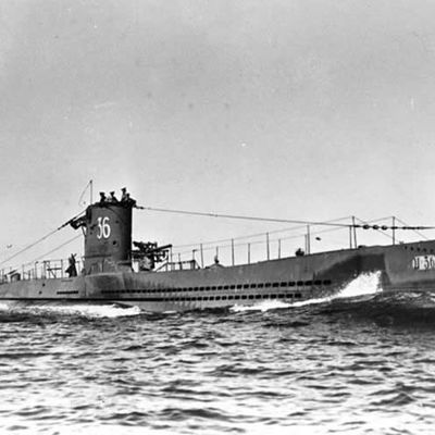 13ème Unterseebootsflottille