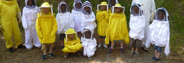 Mieux connaître la vie et le rôle important des abeilles