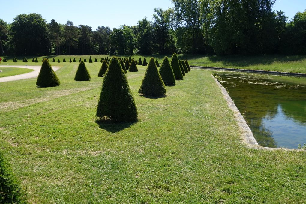 Randonnée douce du 23/05 à Fontainbleau