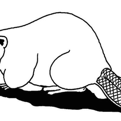 danythebeaver.over-blog.com