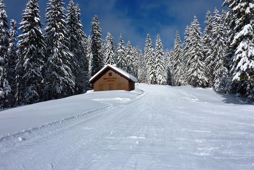 2016-01-21-Les Rousses -Ski de fond