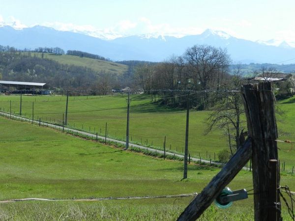 après un passage glaiseux nous voilà au bout du parcours des GPS