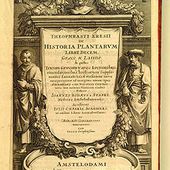 Aristotle - Wikipedia, the free encyclopedia