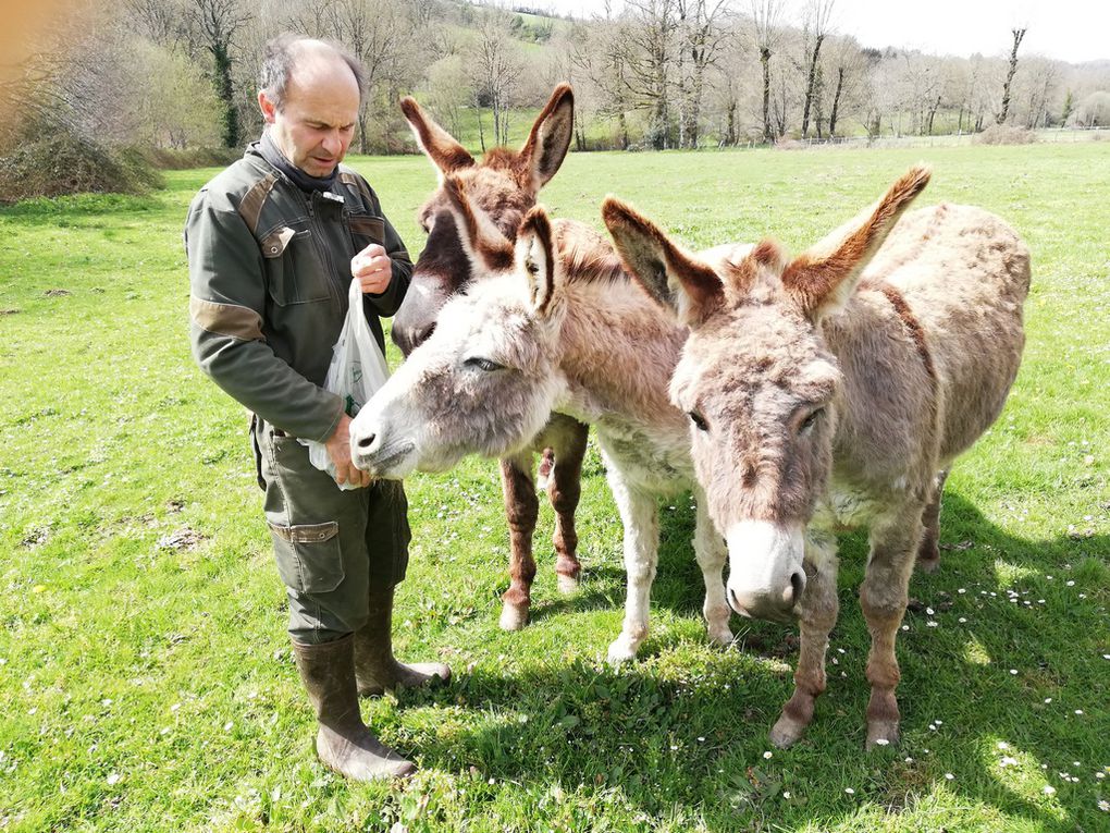 FETE DE LA NATURE DIMANCHE 22 MAI - MOULIN DU BARTHAS MONTREDON LABESSONNIE TARN