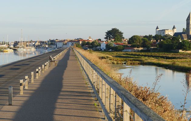 île de NOIRMOUTIER (02/04)