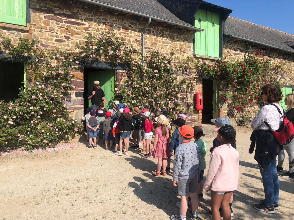 Sortie scolaire des maternelles aux jardins de Brocéliande (suite)