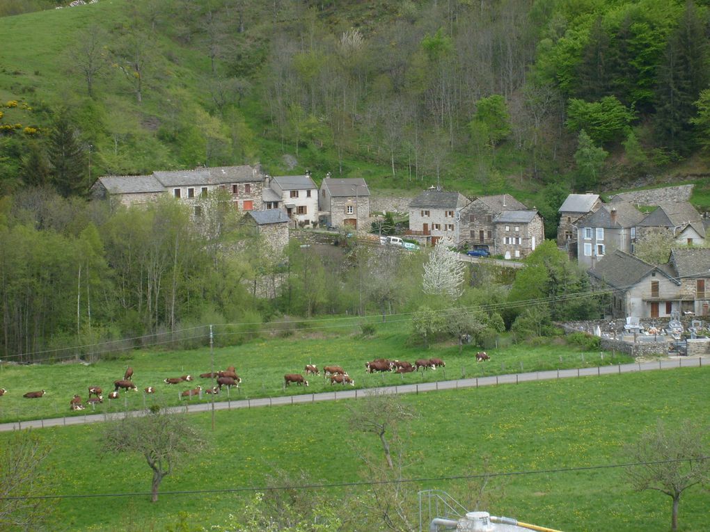 Album - Tour-du-Mont-Lozere-2013