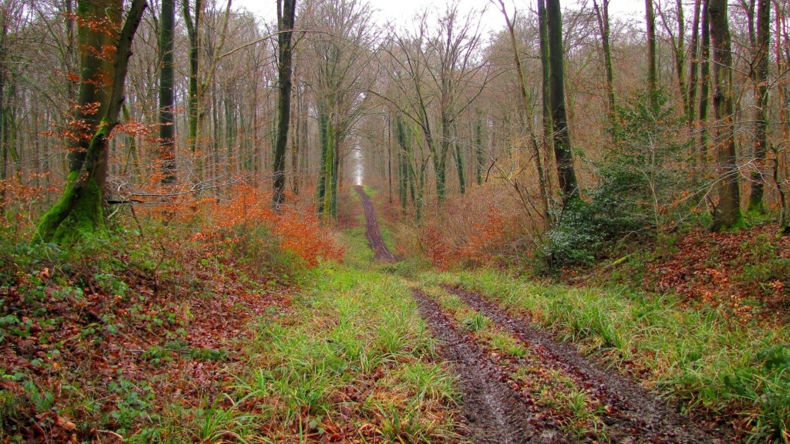 la Route Droite