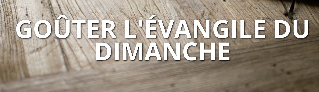 LES FRAT : LES NOUVELLES FICHES SONT PARUES