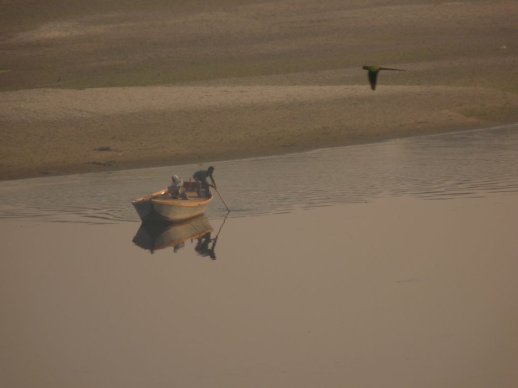 Album - AGRA-et-le-TAJ-MAHAL