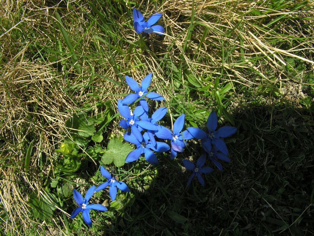 Album - valais