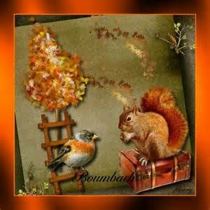 Coucou c'est l'automne