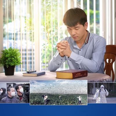 Devocionales Cristianos: Lo que Dios aprecia es el verdadero arrepentimiento del hombre